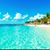 Miry Madrigal's profile image