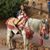 Barbach Abdellah's profile image