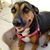 Diane Fetzer's profile image