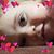 Kevin Warner's profile image