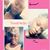 Nicole Rose's profile image