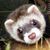 Sally Camp's profile image