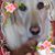 MLand Mia's profile image