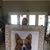 Alice Copeland Boito's profile image