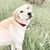 Jeffrey Woolston's profile image