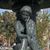 Susan Guzik's profile image
