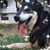 Vickie Sperry's profile image
