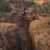 Margie Goebel's profile image