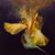 Greg Patty Schmidt's profile image