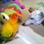 Julie Landmichael's profile image
