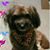 Eileen Hoy's profile image