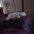 Nanci Bates's profile image
