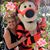 Jann Perkins's profile image