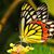 Dawn Johnson-Cross's profile image