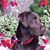 Janifer Trowles's profile image