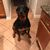 Dana Mayea Kinch's profile image