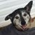 Colleen Kirsch Hiltz White's profile image