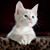 Holly Ferrara's profile image