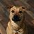 Dezarae Bertram's profile image