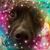 Paula Elliott's profile image