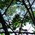 Jane Hughes's profile image