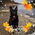 Kelly Gerry's profile image