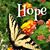 Linda Whiting's profile image