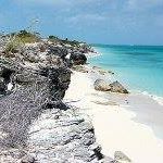 Eric Hoffman's profile image