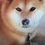 Eva Bandurski Schraer's profile image