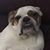 Pamela Astin's profile image