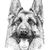 Linda Darlene Cannon's profile image