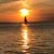 Missy Flanegan VanScyoc's profile image