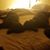 Debra Bryan's profile image