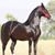 Gerardo Gorgonio's profile image