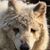 Janet Ragsdale's profile image