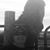 Amanda Strickland's profile image