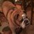 Barb Rowland's profile image
