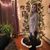 Alicia Lee Komaridis's profile image