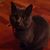 Alicia Garcia's profile image