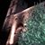 Domenico Arganese's profile image