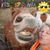 Janet Potocki's profile image