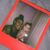 Diamond Moné's profile image