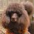 Linda Rudolph Fletcher's profile image