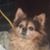 Tina Thresher's profile image
