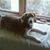 Ray Goins's profile image