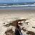 Liz Brown's profile image