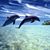 Tinamarie Higuera Vickers's profile image