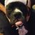 Mike Garrard's profile image