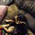 Kimberly Fischbach's profile image