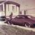 Jenny N Monty Albrecht's profile image